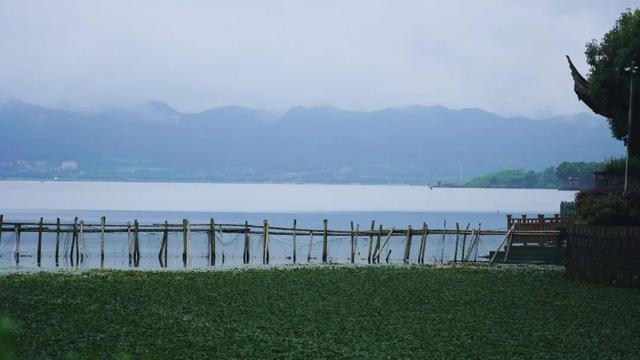 宁波柏悦 | 梅子黄时，挑一家湖畔酒店听雨