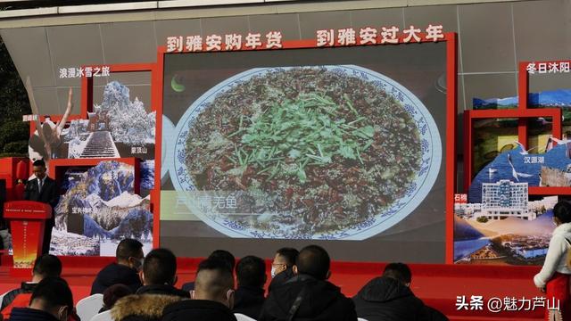 新年到！新年到！你家年货这里买！芦山特色产品亮相“蜀里安逸·雅至生活”暨“雅货进蓉”迎春购物月活动