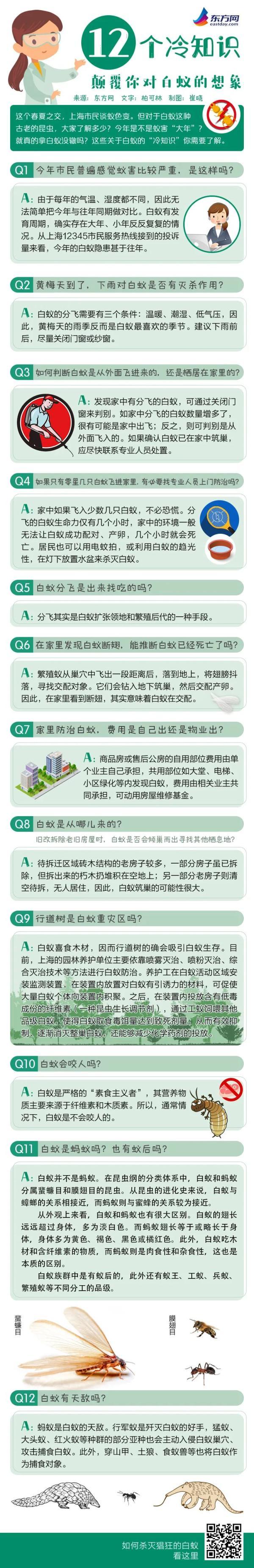 12个冷知识，颠覆你对白蚁的想象