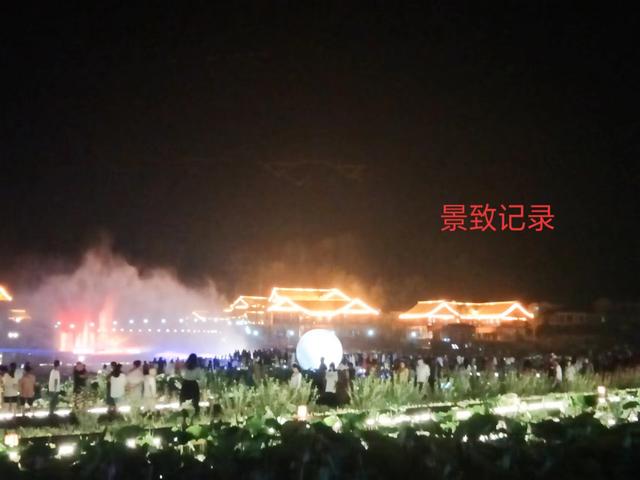 景致记录：重庆市大足区谢家湾，夜赏十里荷塘，灯光璀璨游人如织