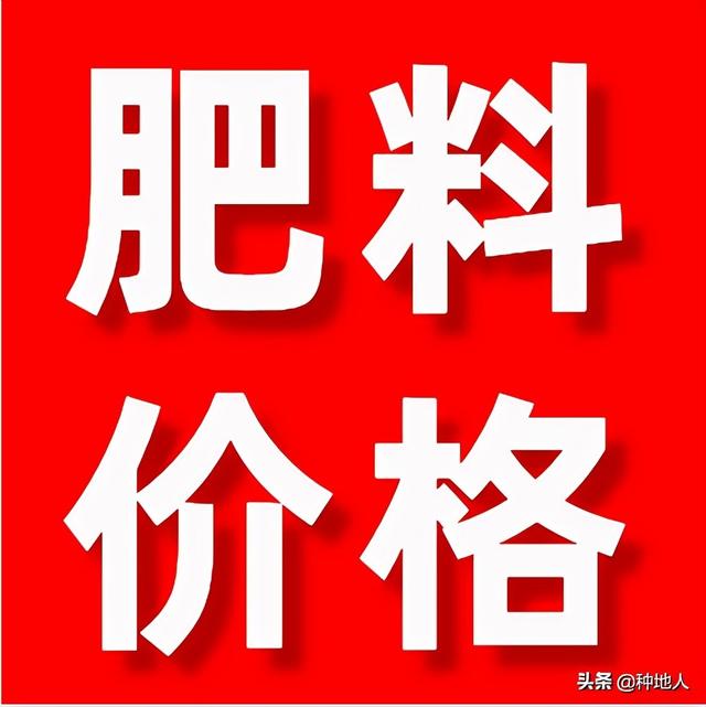 涨价！复合肥、磷铵、钾肥整体上调50-250元/吨！12月9日化肥价格