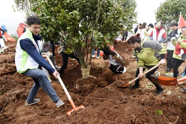 为宝庆大地再添新绿｜曹普华、鞠晓阳等市级领导义务植树