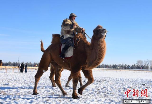 内蒙古开启为期4个月的冰雪旅游季 121项冬季旅游活动精彩亮相