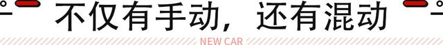 两厢版思域终于来了！手动挡回归/可选2.0L混动 只要14.59万起！