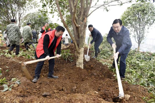 为宝庆大地再添新绿｜曹普华、鞠晓阳等市级领导义务植树