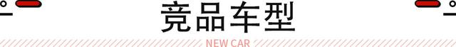 两厢版思域终于来了！手动挡回归/可选2.0L混动 只要14.59万起！