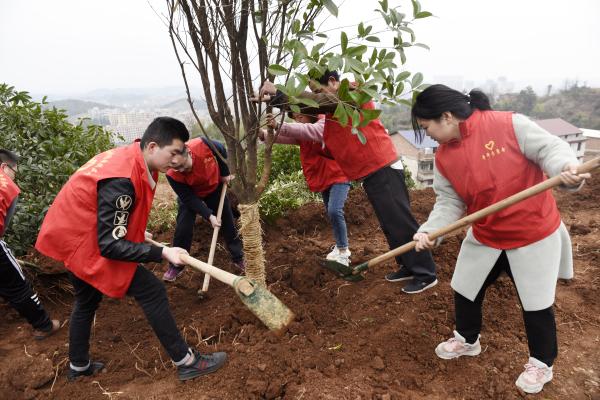 为宝庆大地再添新绿｜曹普华、鞠晓阳等市级领导义务植树