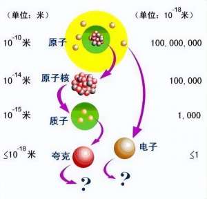 希格斯场(希格斯场和强核力)