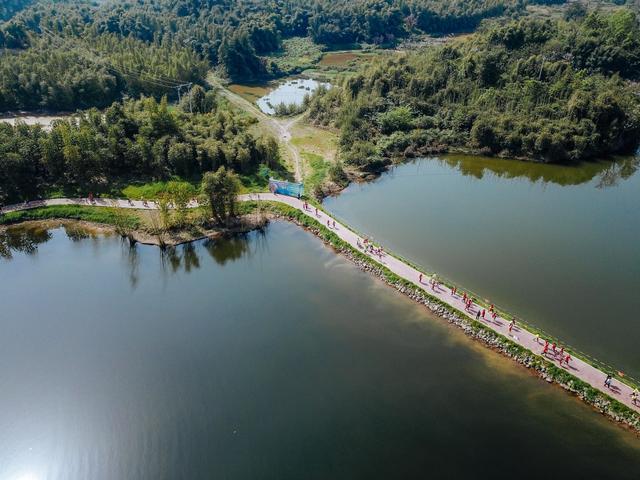 樱花赛道很美，跑步还能游玩……重庆大足环龙水湖半马开跑，山城借赛事打造旅游名片