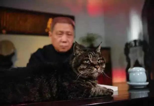 小猫咪不懂就问，藏书票是个啥东西？