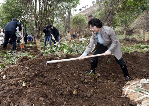 为宝庆大地再添新绿｜曹普华、鞠晓阳等市级领导义务植树