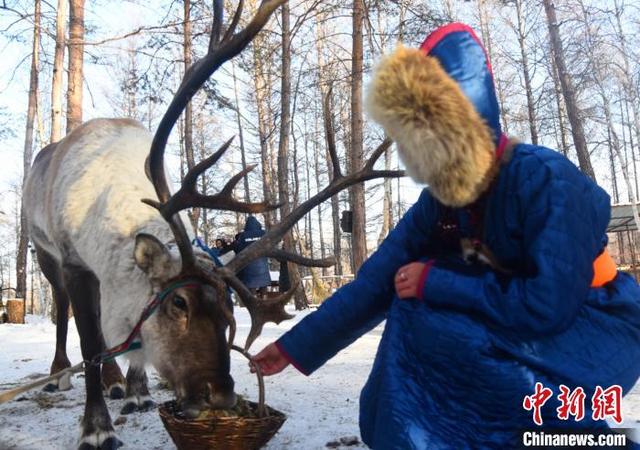 内蒙古开启为期4个月的冰雪旅游季 121项冬季旅游活动精彩亮相