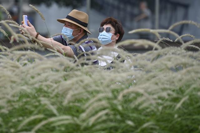 图集｜如常魔都：如何在徐汇滨江度过一个惬意的端午假期