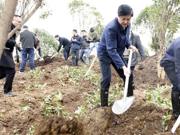 为宝庆大地再添新绿｜曹普华、鞠晓阳等市级领导义务植树