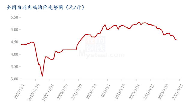 四月禽类上市公司成绩单出炉，白羽鸡苗价格大幅回撤