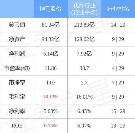 神马股份（600810）3月16日主力资金净卖出3825.30万元