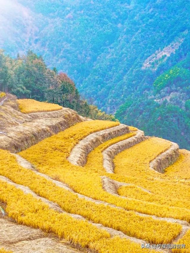 临安赏秋｜今年一定要去的地方，指南村藏着你对秋天的所有想象