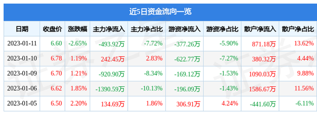 安彩高科（600207）1月11日主力资金净卖出493.92万元