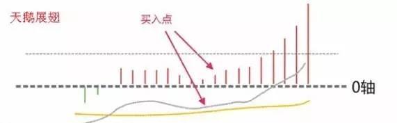 指标之王MACD准确率高达到80%，看懂此文离A股高手就不远了！