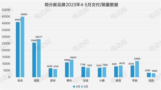 5月新品牌交付-销量盘点 论阵容的重要性