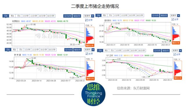 猪周期仍处价格洼地，亏损之下猪企寻找新赛道