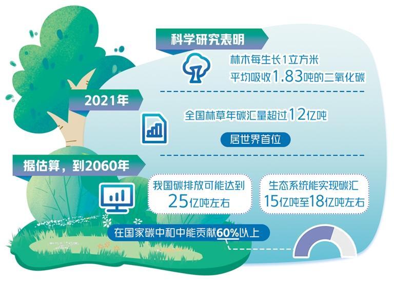 高质量建设林草碳库