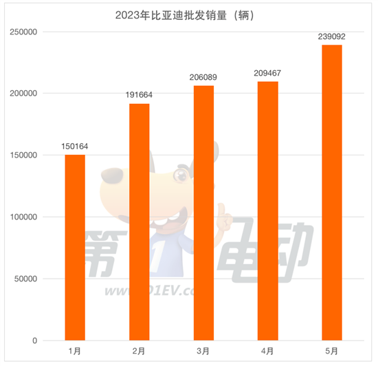 5月批发销量榜：比亚迪24万辆创新高