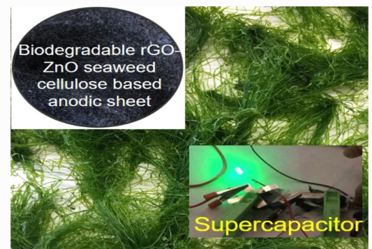 GERMI利用海藻开发纸基超级电容器 可在10秒内充满电