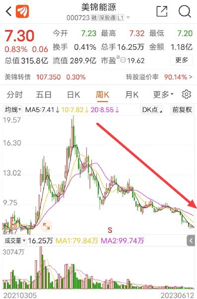 300亿氢能源龙头大跌！控股股东质押比例99%，监管关注平仓风险