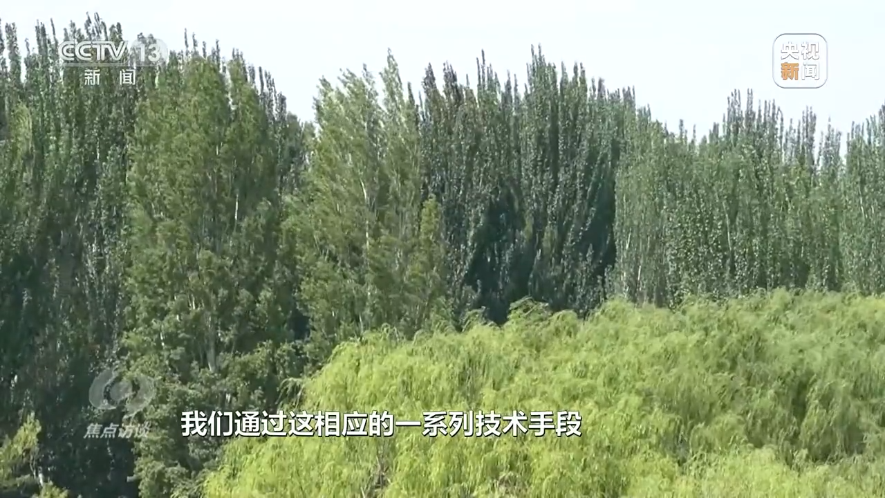 焦点访谈丨根植沙海的绿色梦