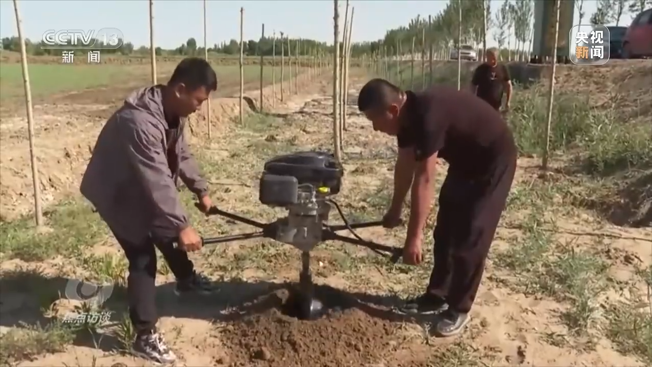 焦点访谈丨根植沙海的绿色梦