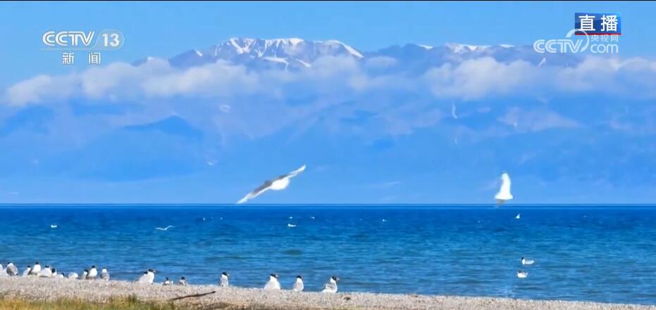 天山脚下夏日美景惹人醉 用心守护“赛湖蓝”