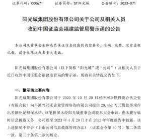 因两笔担保未经审议且未及时信披，阳光城及林腾蛟收到福建监管局警示函