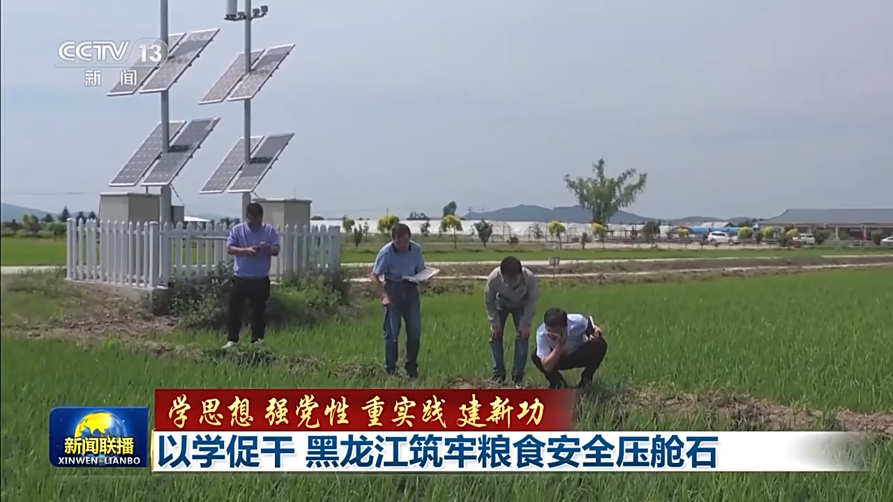 以学促干！黑龙江筑牢粮食安全压舱石