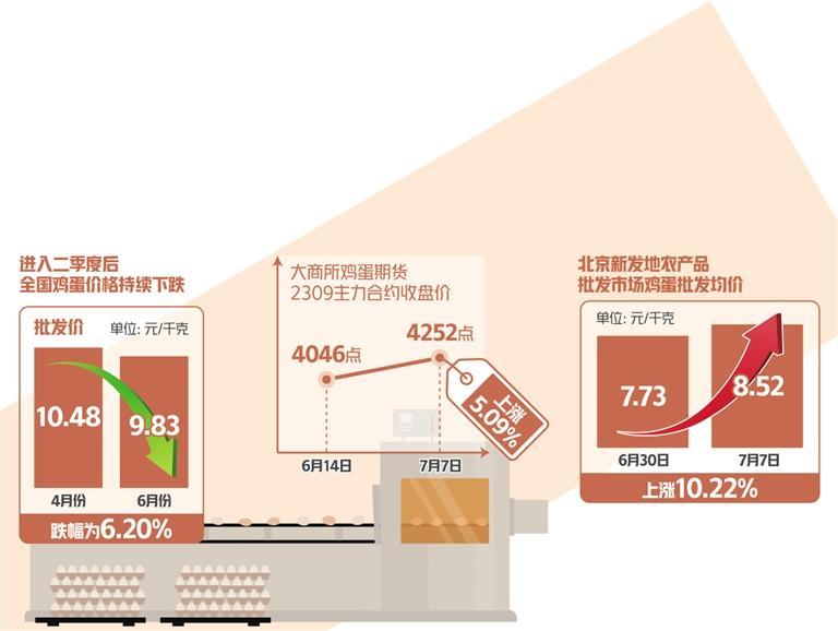 三季度鸡蛋消费有望提振