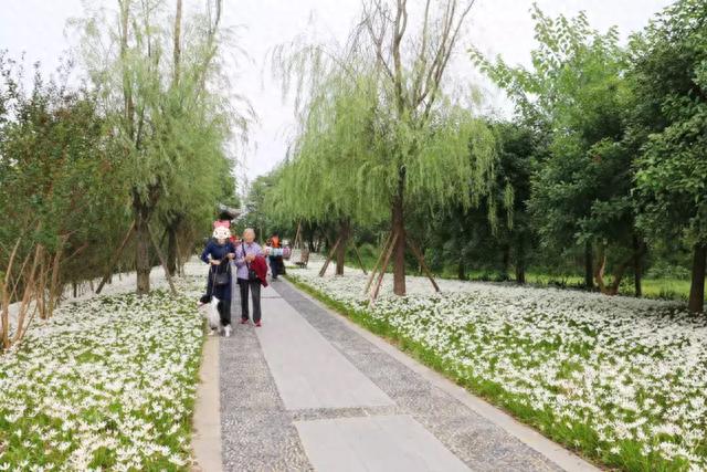 成都8大初秋赏花地，芙蓉百合纷纷盛开，快去打卡耍1天！