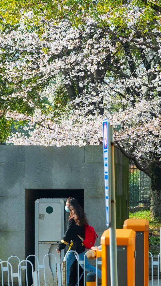 高清大图来袭！湖北“最美校花”写真曝光，个个颜值绝美！