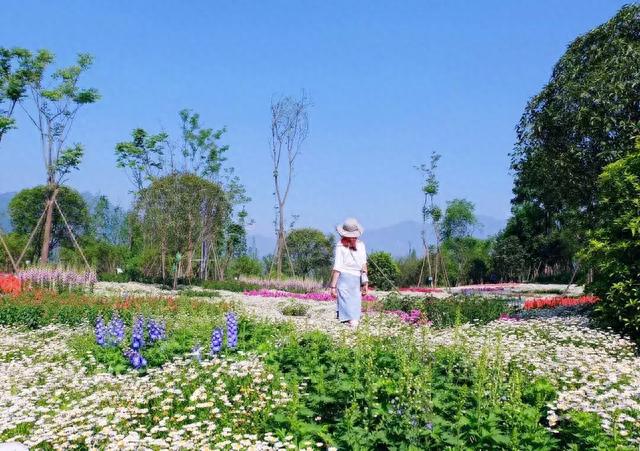 成都8大初秋赏花地，芙蓉百合纷纷盛开，快去打卡耍1天！