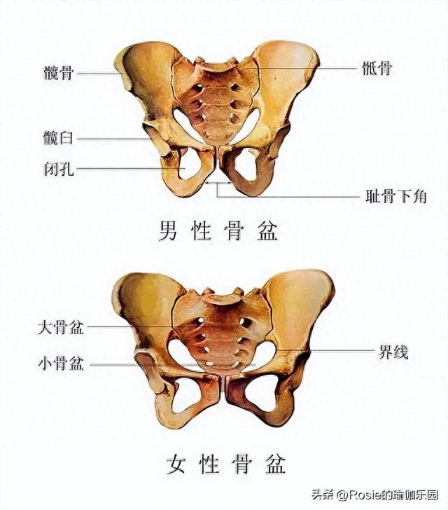 Lisa参加疯马秀是身体自由？大腿内侧肥松如何瘦？4步轻松练