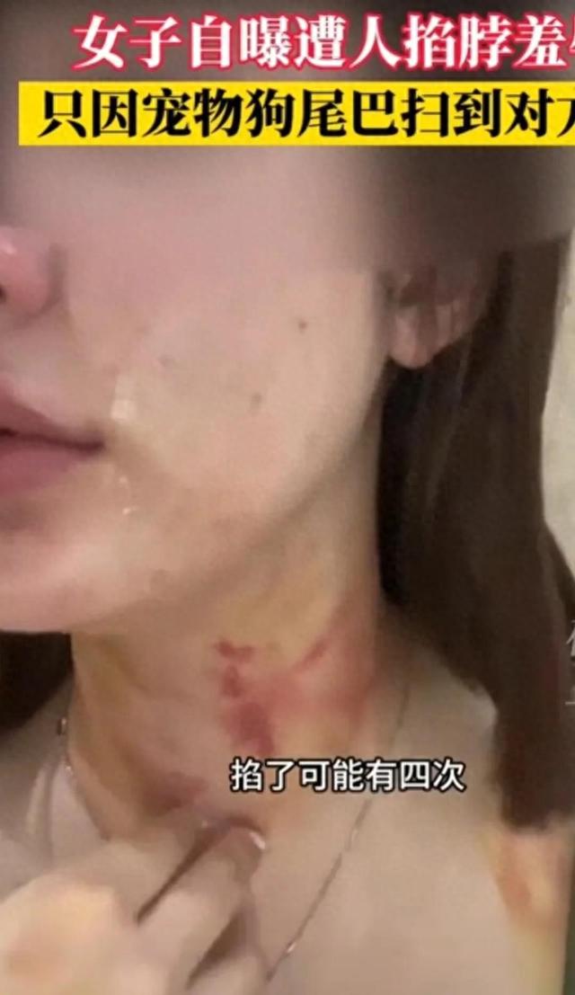 闹大了！电梯内狗尾巴扫腿，23岁女子在打斗中被扯下衣服露出胸部