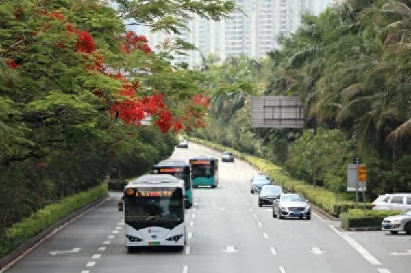 明日起，深圳这些公交线路有调整