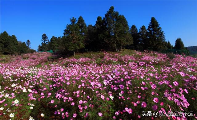 新鲜出炉！仙女山机场公共交通时刻表上线