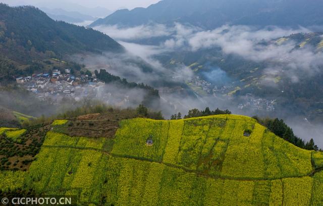 油菜花儿开，乡村旅游热