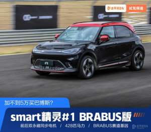 巴博斯汽车(加不到5万买巴博斯 赛道体验smart精灵#1 BRABUS性能版)