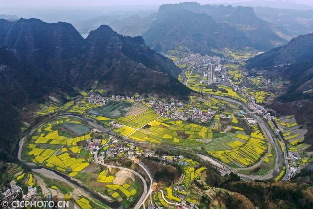 油菜花儿开，乡村旅游热