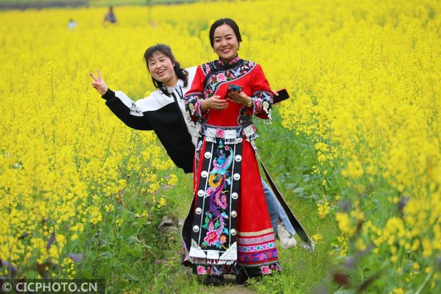 油菜花儿开，乡村旅游热