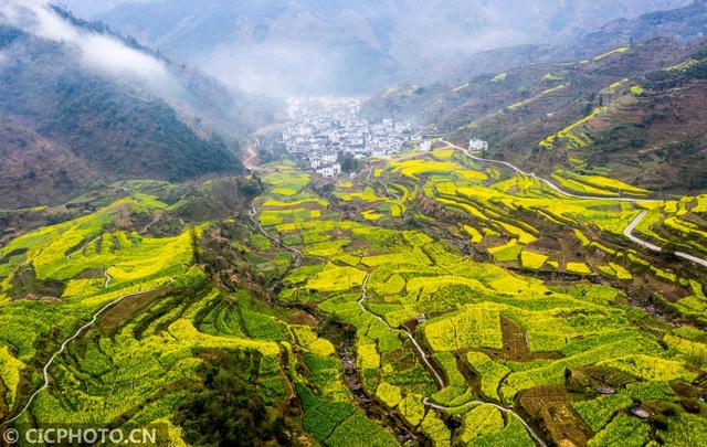 油菜花儿开，乡村旅游热