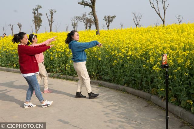 油菜花儿开，乡村旅游热